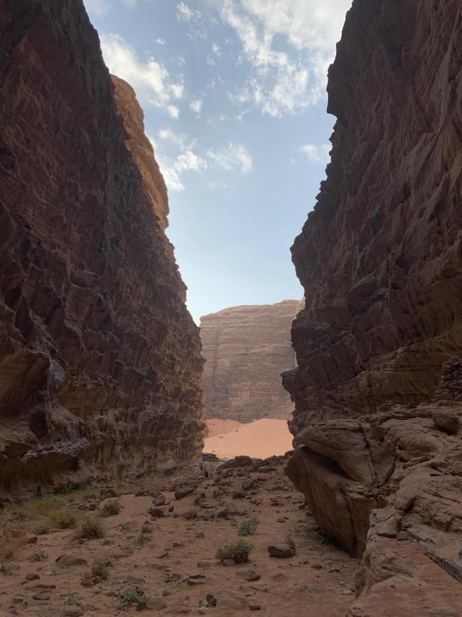 Sara Luxury Camp Hotel Wadi Rum Luaran gambar